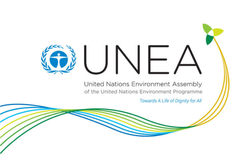 United Nations Environment Assembly
